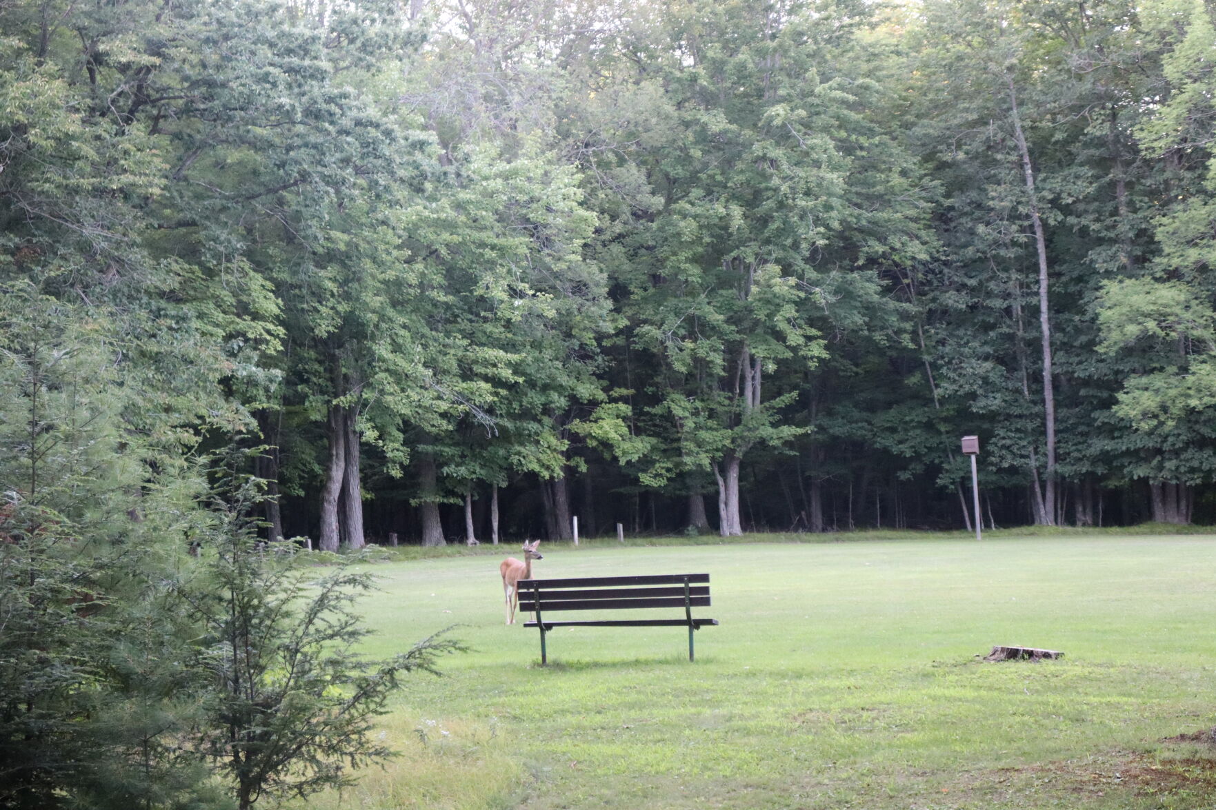 Brunet Island State Park